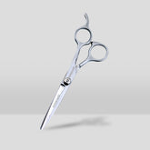 ParkJun Beauty Lab Designers Silver Cutting Scissors