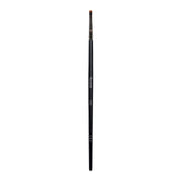Picasso 406 Concealer