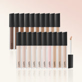 Luna Long-Lasting Tip Concealer EX (6.5g / 7.5g)