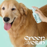 Innisfree Green Pet Club Walk All-in-One Mist 150ml