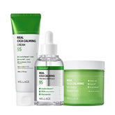Wellage Real Cica Calming 95 Trouble Ampoule 50ml + Big Embo Toner Pad 160ml (70 pads) + Cream 50ml ? 3-Piece Set