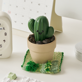 Donggubat Cactus All-in-One Perfume Bar Set (120g each)