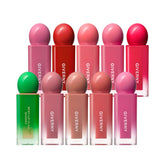 Giverny Dewy Lip Glaze Tint 10 Colors 4.3g/4.9g