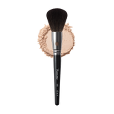 Picasso 101 Powder (1 ea)