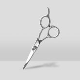 ParkJun Beauty Lab Hair Cutting Scissors