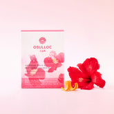 OSULLOC Sweet Hibiscus Cold Brew Tea 20 Tea Bags 50g
