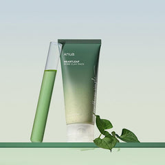 Soonsu Beauty Heartleaf Pore Clay Pack application use