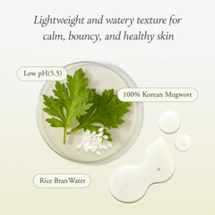 Product with Korean mugwort and rice bran water on a light background