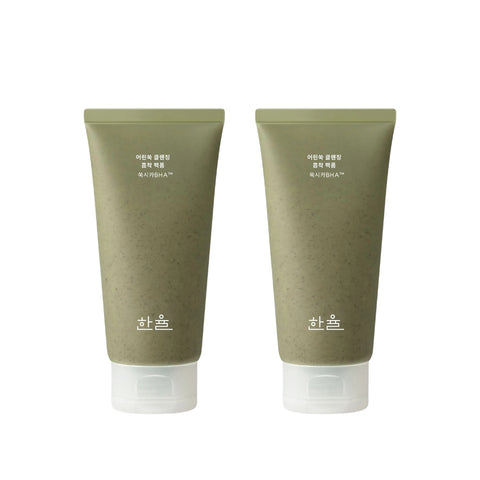 Hanyul Pure Artemisia Cleansing Pack Foam 120ml Double Pack