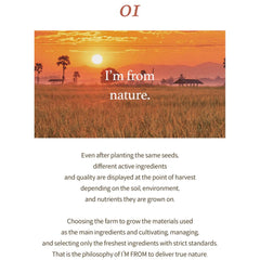 Soonsu Beauty Rice Sunscreen texture close-up