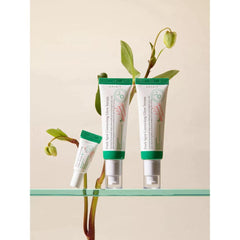 Soonsu Beauty Dark Spot Correcting Glow Serum front view