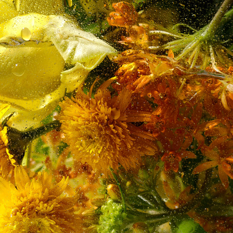 Teabless Floral Meadow Sweet Tea Perfume Body Wash 500g Double Pack