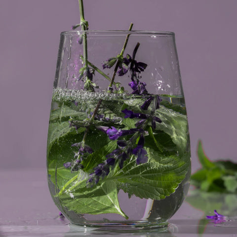 Teabless Sage Amber Purple Tea Perfume Body Wash 500g