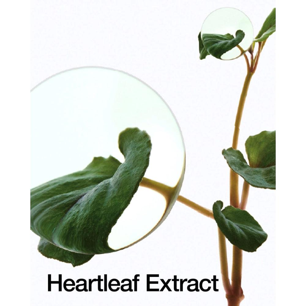 Soonsu Beauty Heartleaf 70% Daily Lotion front view