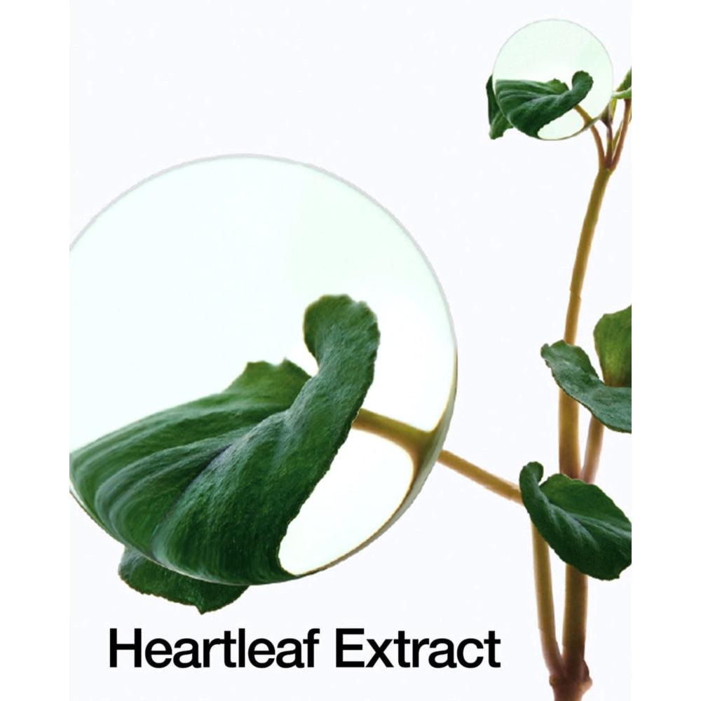 Soonsu Beauty Heartleaf 70% Intense Calming Cream packaging design