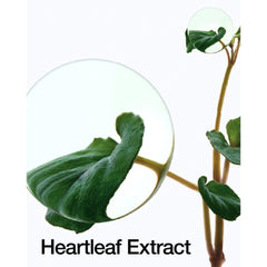 Soonsu Beauty Heartleaf LHA Moisture Peeling Gel side view