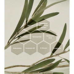 Olive branch with labeled hexagonal boxes containing skincare ingredient names on a beige background