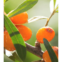 I'm From Vitamin Fruit Serum 30ml