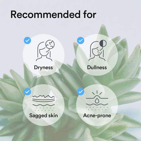 Soonsu Beauty Collagen Gel Mask Sedum Jelly application use