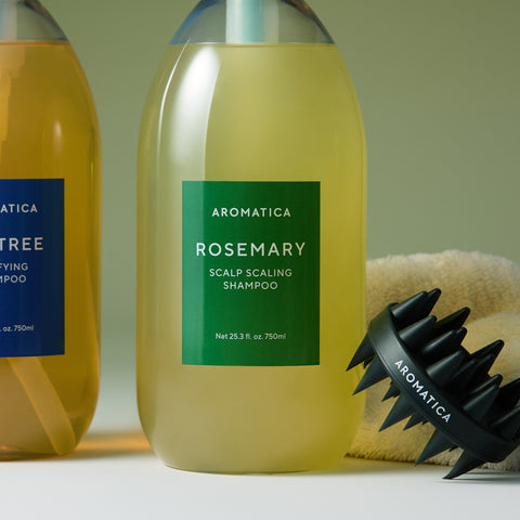 Aromatica Rosemary Daily Hair Ritual Set (Shampoo + Treatment + Wooden Brush)