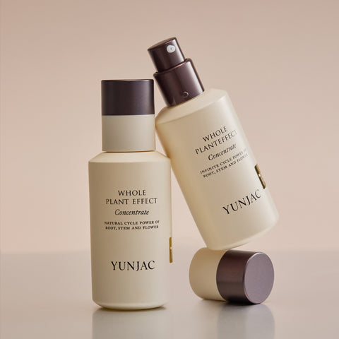 YUNJAC Jeoncho Concentrate 40ml