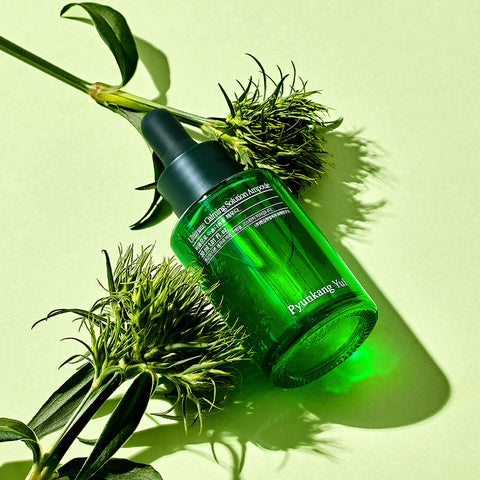 Pyunkang Yul Ultimate Soothing Solution Ampoule 30ml