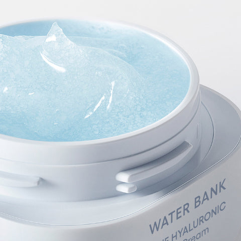Laneige New Water Bank Blue Hyaluronic Gel Cream Refill 50ml