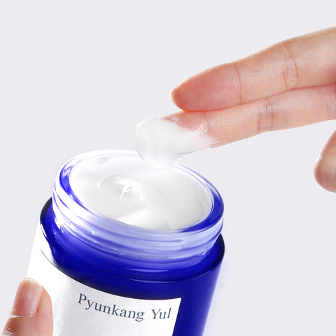 Pyunkang Yul Moisture Cream 100ml
