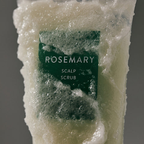 Aromatica Rosemary Scalp Scaling Shampoo 750ml + Scalp Scrub 165g (2-piece set)