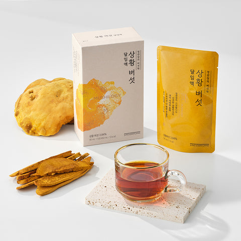 JungKwanJang Sanghwang Mushroom Decoction 90ml x 30 Sachets