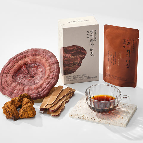 JungKwanJang Reishi & Chaga Mushroom Decoction 90ml x 30 Packs