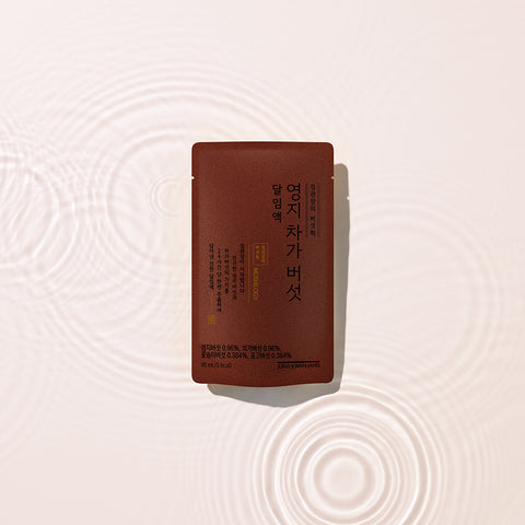 JungKwanJang Reishi & Chaga Mushroom Decoction 90ml x 30 Packs