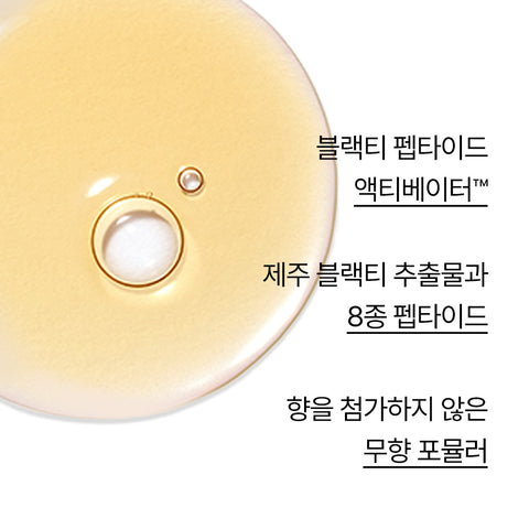 Innisfree Black Tea Youth Enhancing Treatment Essence 145ml