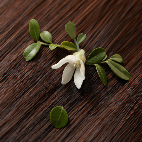 Aromatica Replenishing Hair Mist Jasmine & Vetiver 100ml
