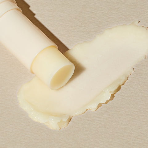 The Saem Snail Essential EX Wrinkle Solution Multi Stick