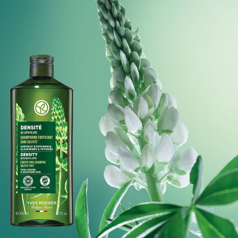 Yves Rocher Densite Rescue Scalp Strengthening Shampoo 300ml (Pack of 2)