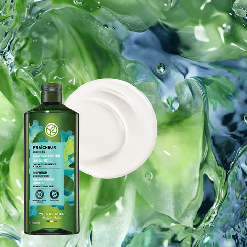 Yves Rocher Algae Refresh Oily Scalp Shampoo 300ml (2 Pack)