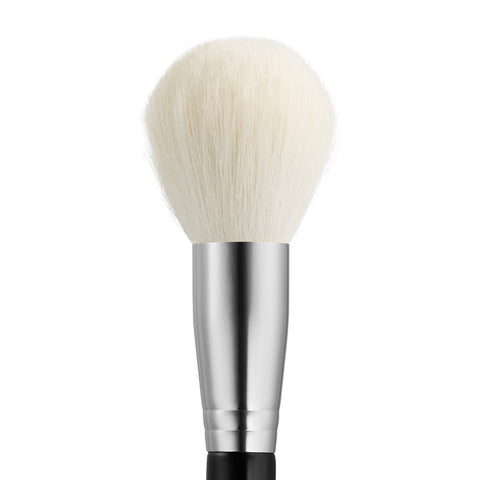 Picasso 801 Powder Brush (1 ea)