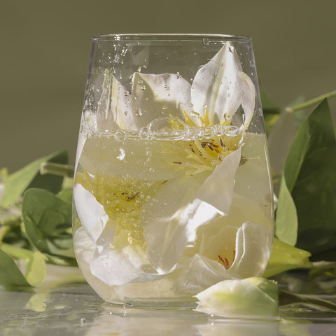 Teabless Lily Musk White Tea Perfume Body Wash 500g