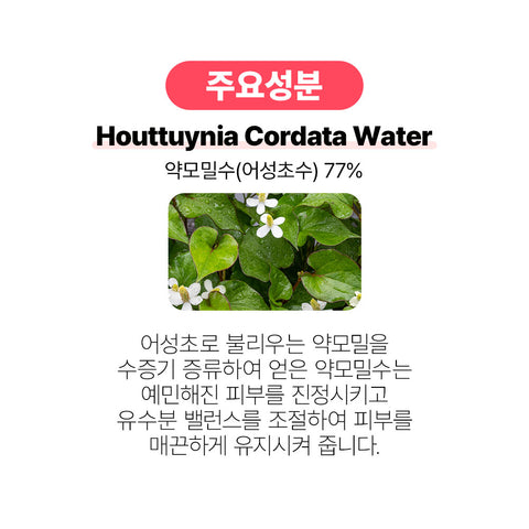 Biome Activate Houttuynia 77 Clear Toner Pads (2 Pack) 170ml / 70 Pads