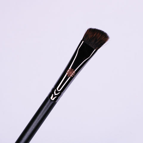 Picasso 209 Eyeshadow