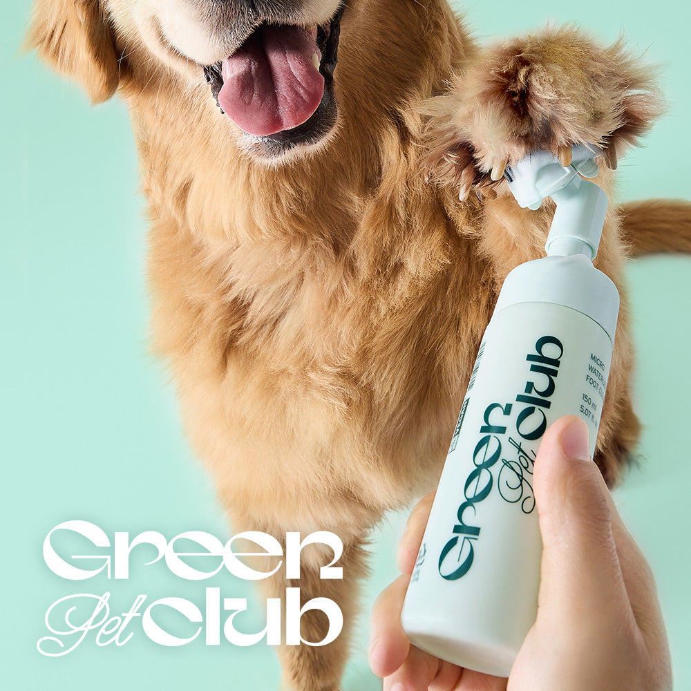 Innisfree Green Pet Club Thorough Waterless Paw Cleanser 150 mL