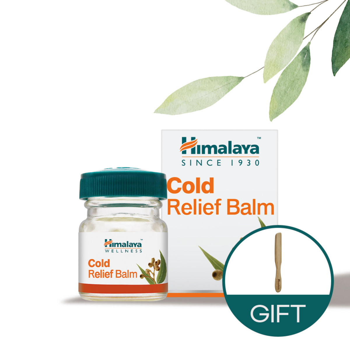 Himalaya Cold Balm Multi Balm 10g (3 Pack) with Wood Spatula