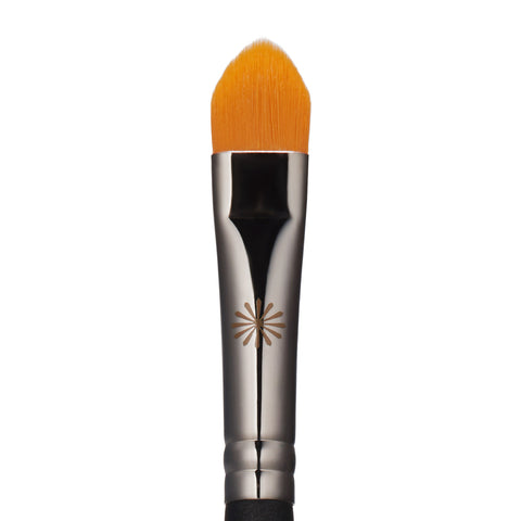Picasso 195 Concealer 1ea
