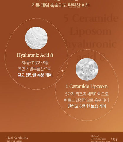 Soonsu Beauty Hyal Kombucha Tea-Tox Cream application use