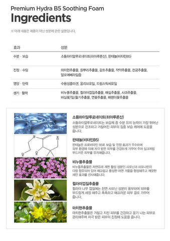 Soonsu Beauty Premium EX Hydra B5 Soothing Foam packaging design