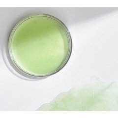 Close-up of a petri dish with green substance on a white background