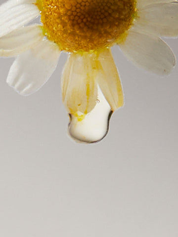 Teabless Ylang Ylang Chamomile Tea Inner Perfume 5ml Double Pack