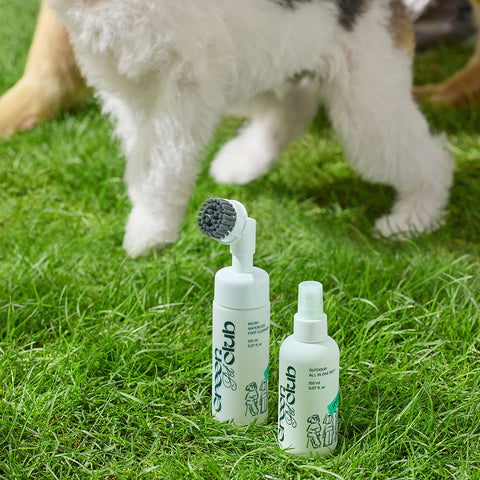 Innisfree Green Pet Club Walk All-in-One Mist 150ml
