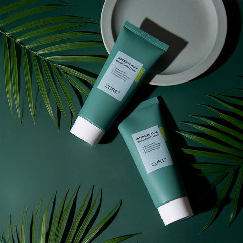 Kim Jeong Moon Aloe Intensive Barrier Relief Cream 100ml (2 pack)